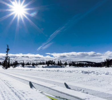 SKIPREPP & EARLY-BIRD TILBUD